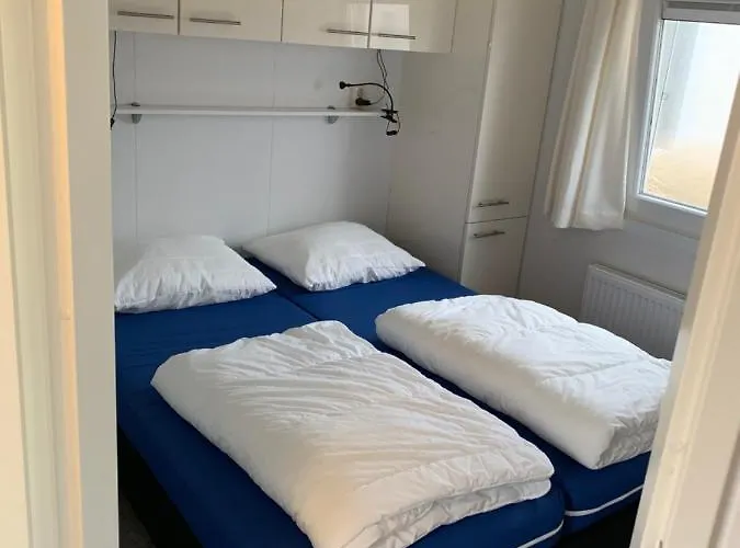 Helmgras * Beek Gem Montferland